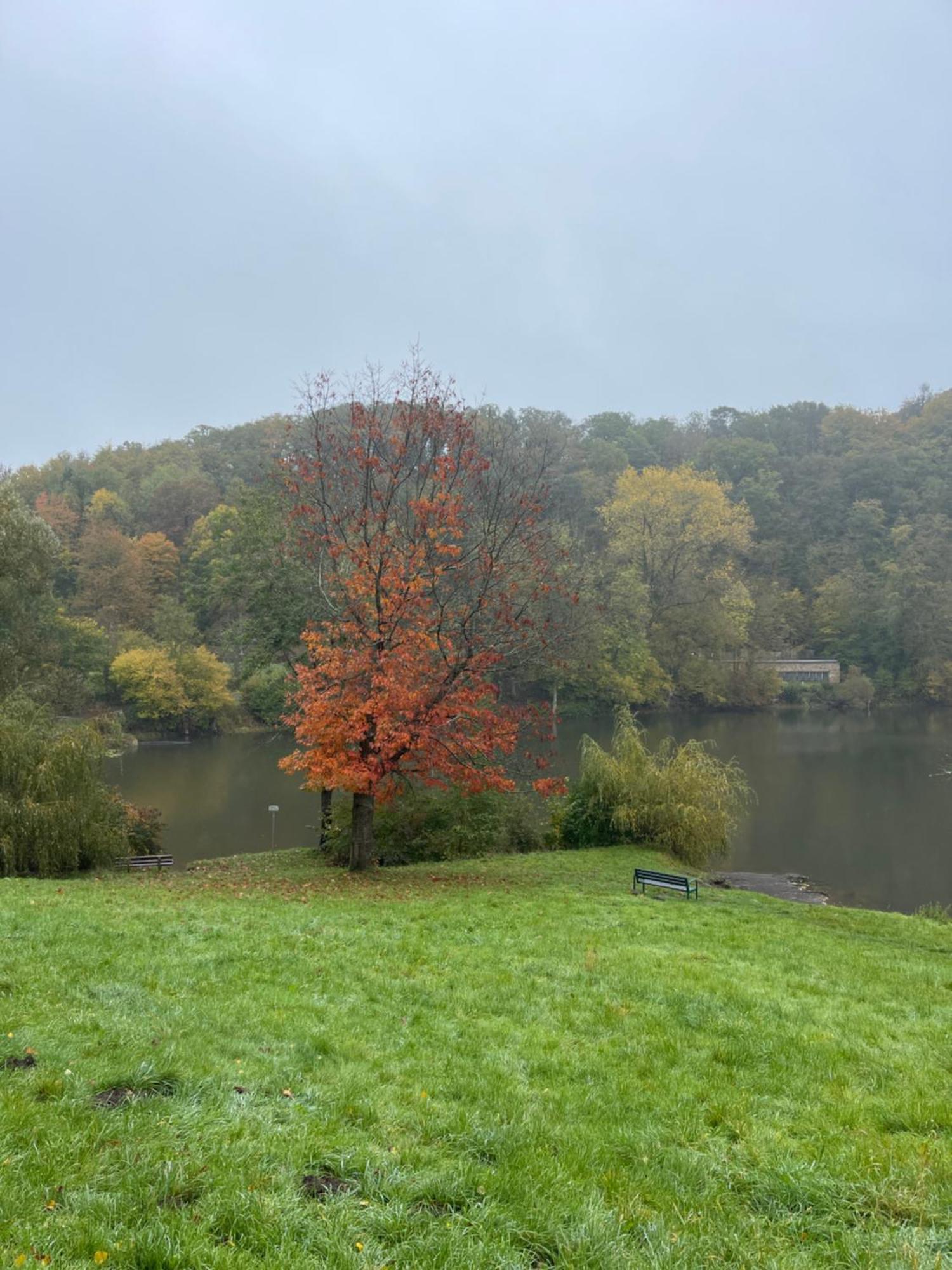 Ferienhaus Eifelstuben Mit Charme - Bauernstube Vulkaneifel - Naehe See Und Burgruine Ulmen Exterior foto