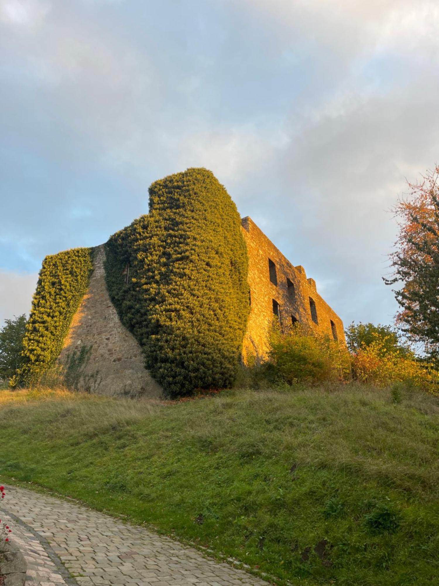Ferienhaus Eifelstuben Mit Charme - Bauernstube Vulkaneifel - Naehe See Und Burgruine Ulmen Exterior foto