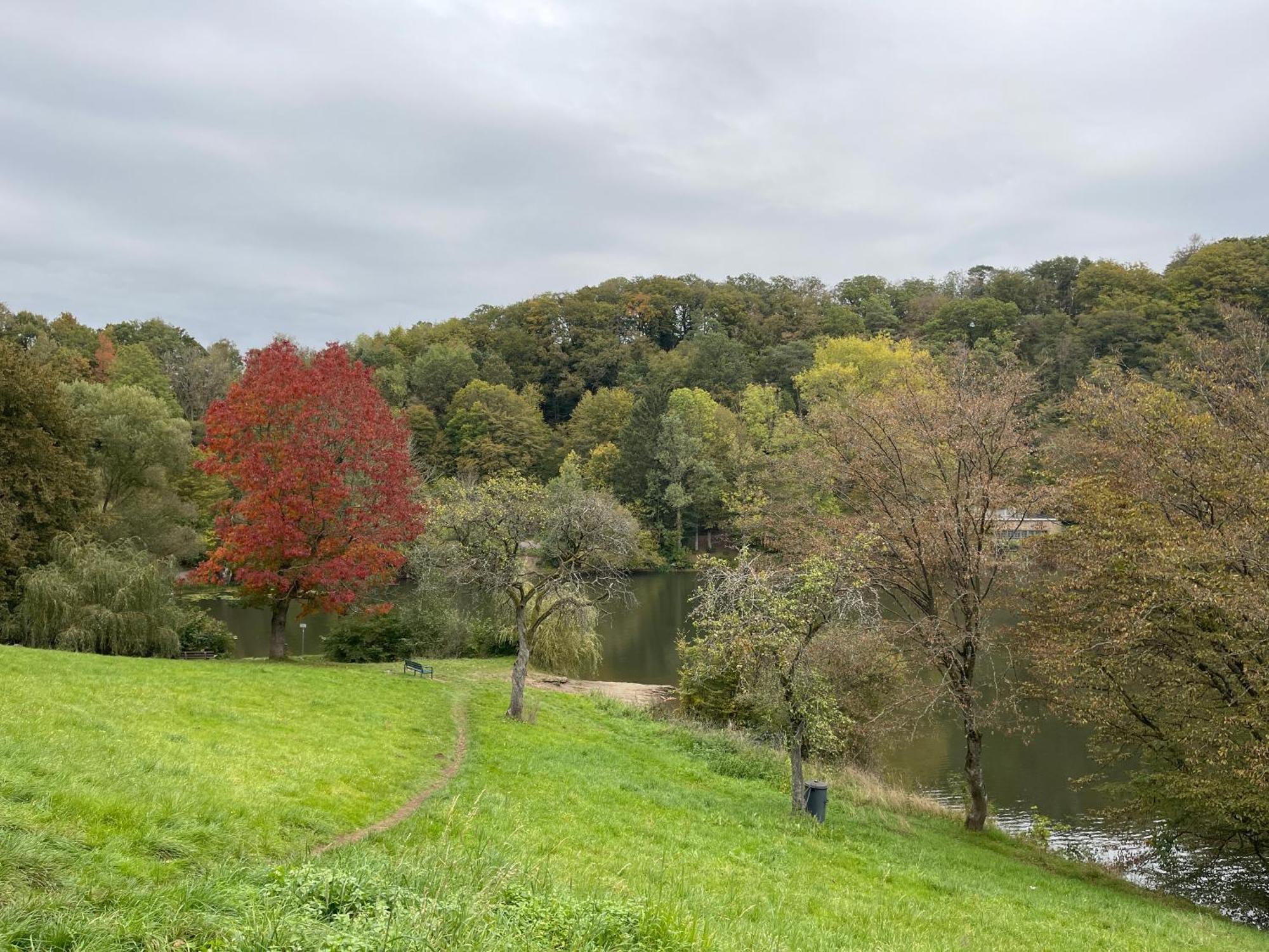 Ferienhaus Eifelstuben Mit Charme - Bauernstube Vulkaneifel - Naehe See Und Burgruine Ulmen Exterior foto